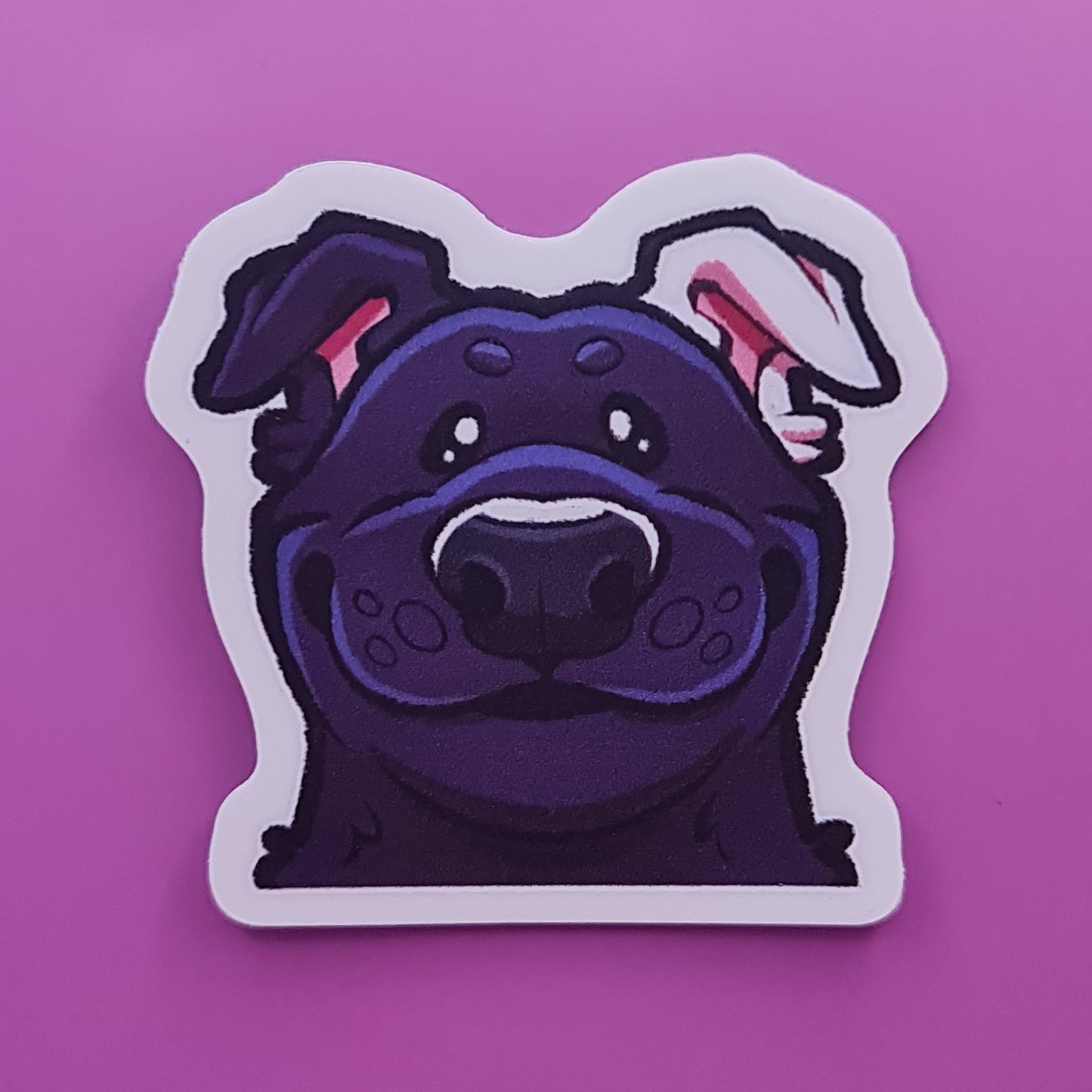 Stare Boof Sticker