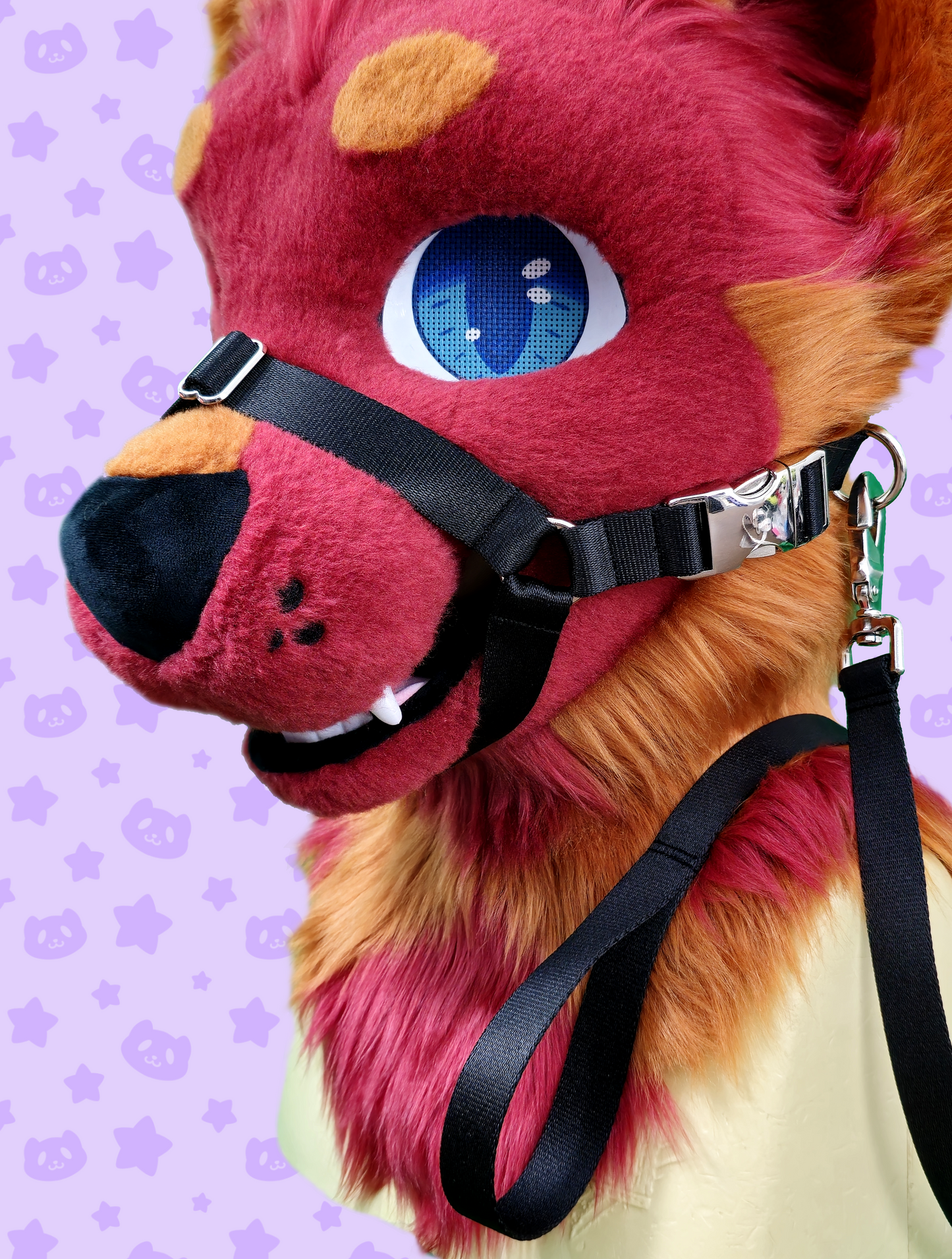 Leash - Black with Silver Metal Hardware