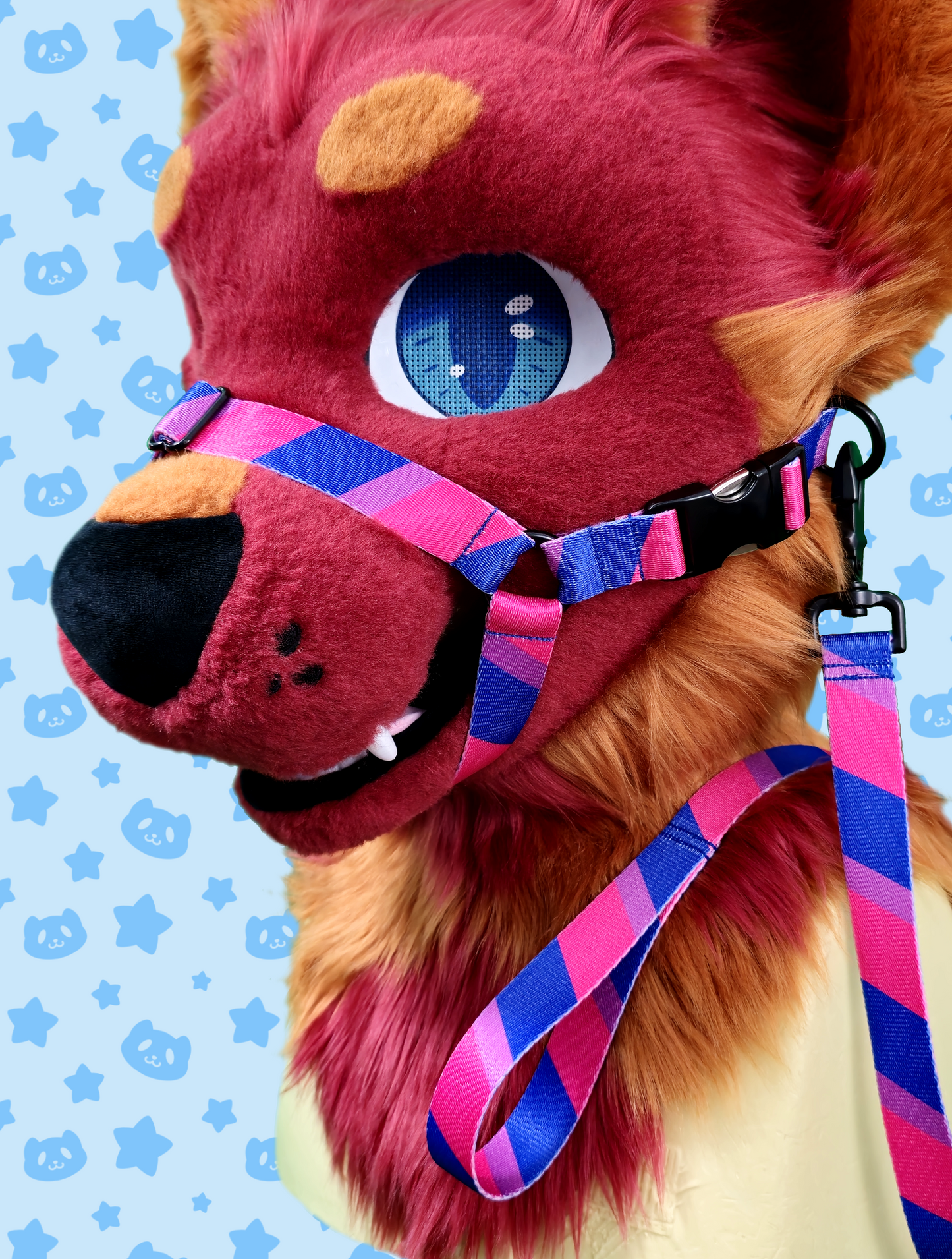 Leash - Bi Pride with Black Metal Hardware