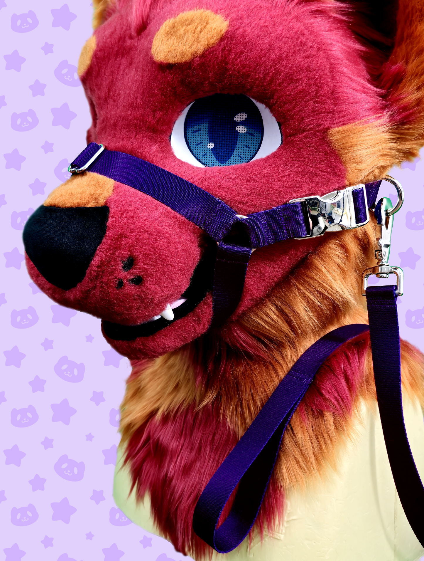 Leash - Purple with Silver Metal Hardware