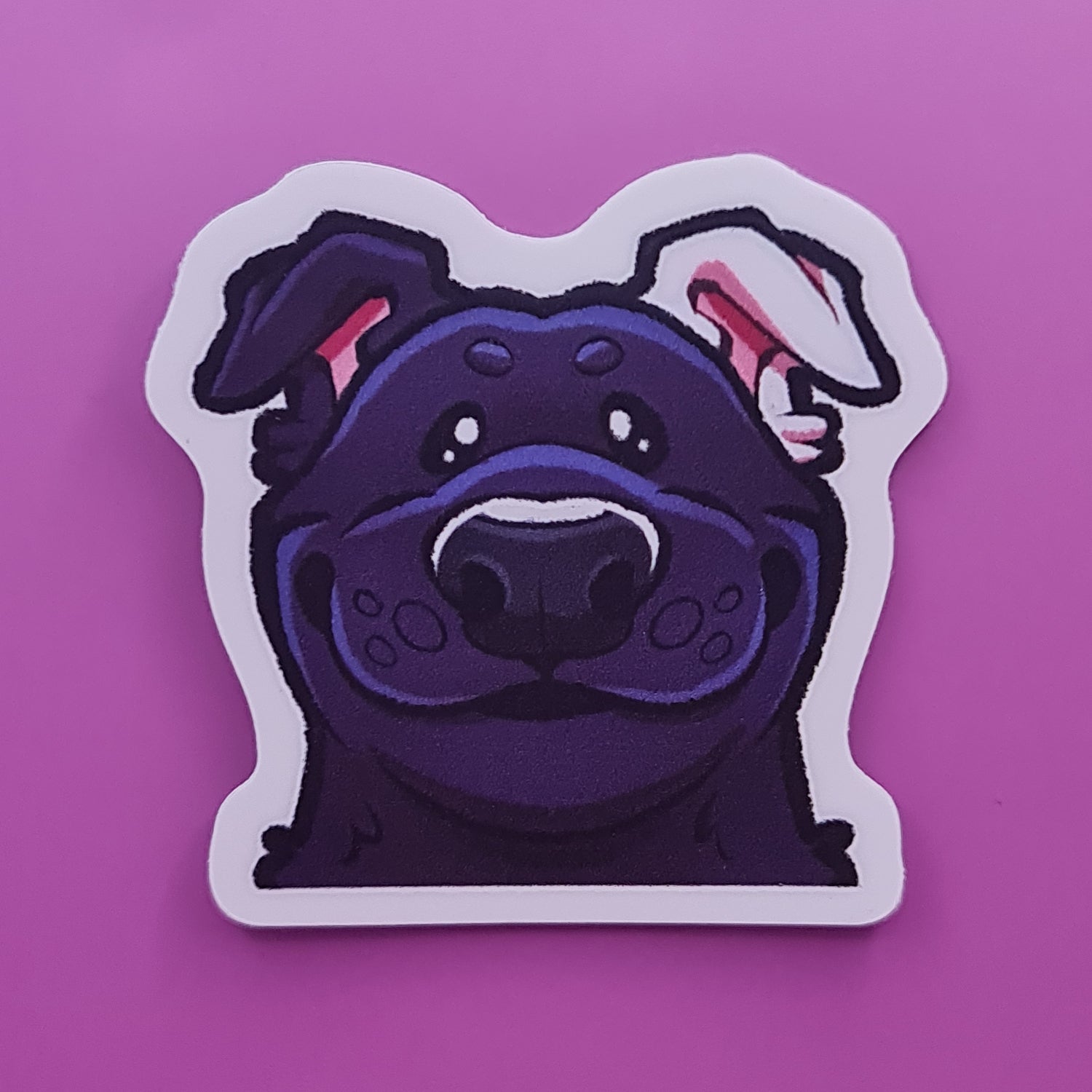 Bogof Sticker Stare Boof Sticker – Skunky Designs