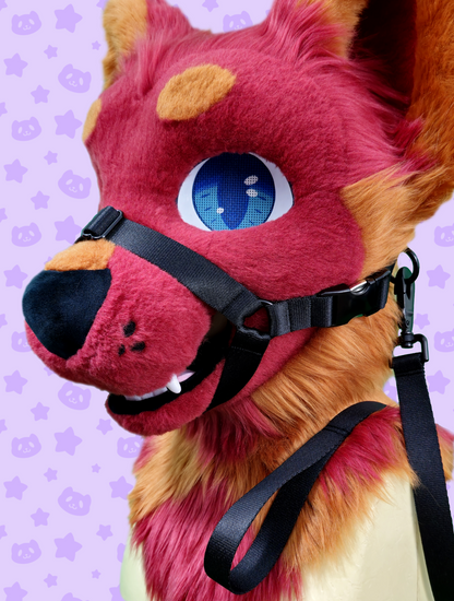 Leash - Black with Black Metal Hardware
