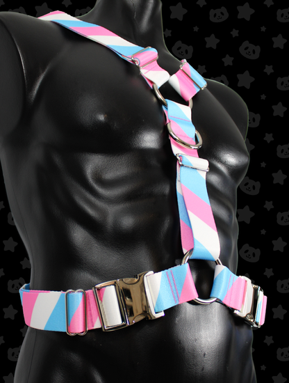Y Harness - Trans Pride with Silver Metal Hardware