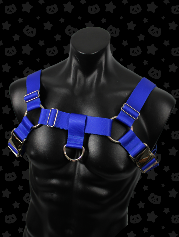 Bulldog Harness - Royal Blue with Silver Metal Hardware
