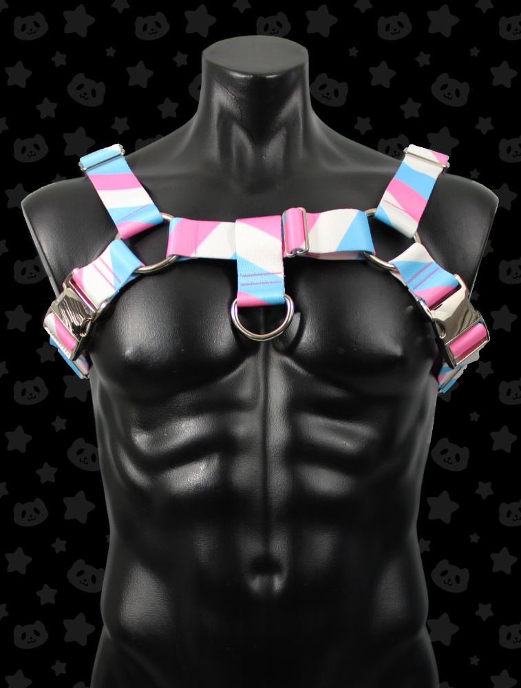 Bulldog Harness - Trans Pride with Silver Metal Hardware