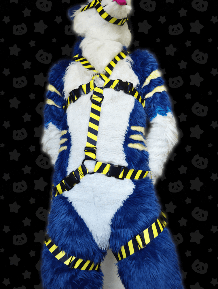 Chest Harness with Leg Straps - OLD MANU STOCK CLEARANCE!