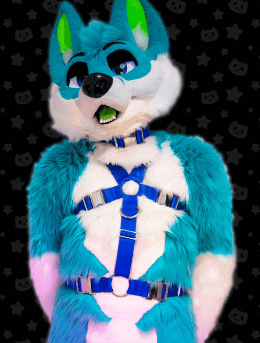 Chest Harness - OLD MANU STOCK CLEARANCE!