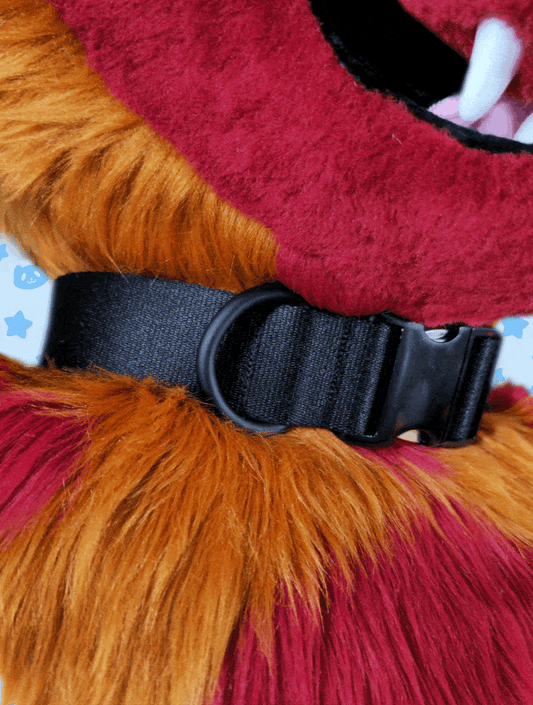 Collar - OLD MANU STOCK CLEARANCE!