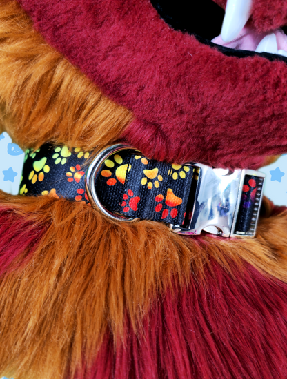 Collar - Rainbow Pawprints with Silver Metal Hardware