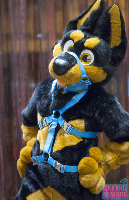 PRE-ORDER - X - Harness